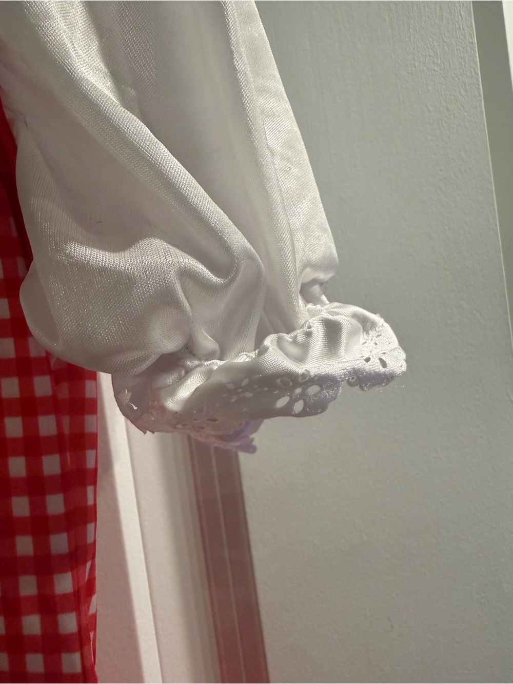 Costume - Picture 4 of 5